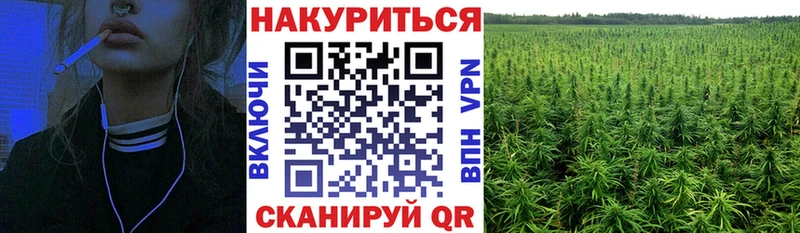 Бошки Шишки Ужур