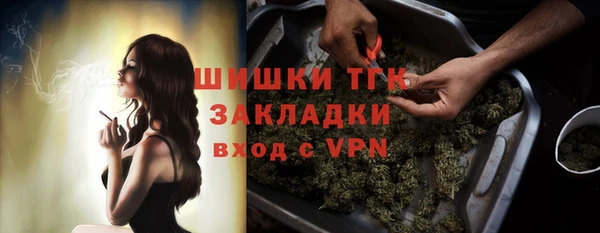 тгк Богородск