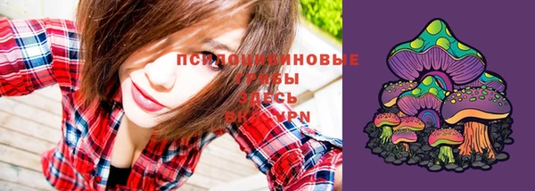 тгк Богородск